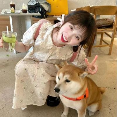 哈儿传奇