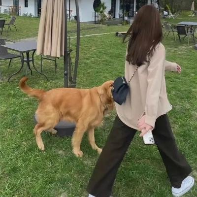 血的圣宴
